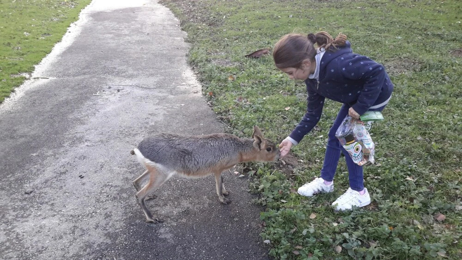 Les Hauts de Hurlevent Cottages