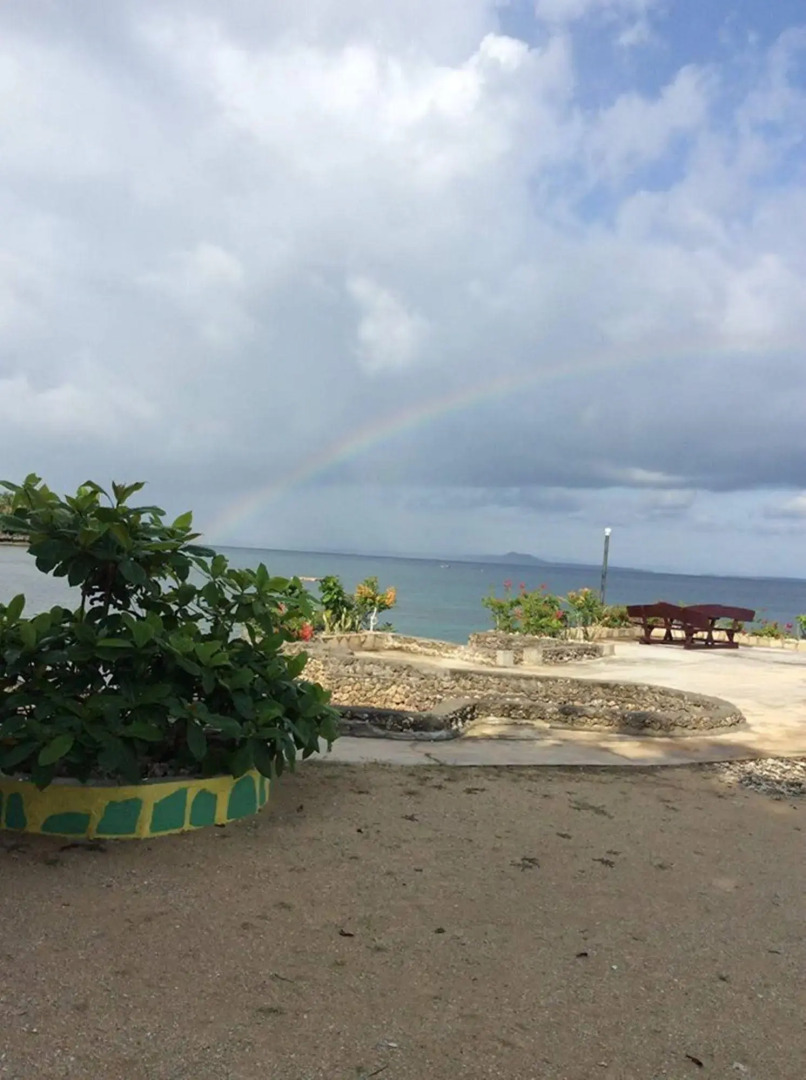 Camotes Flying Fish Resort