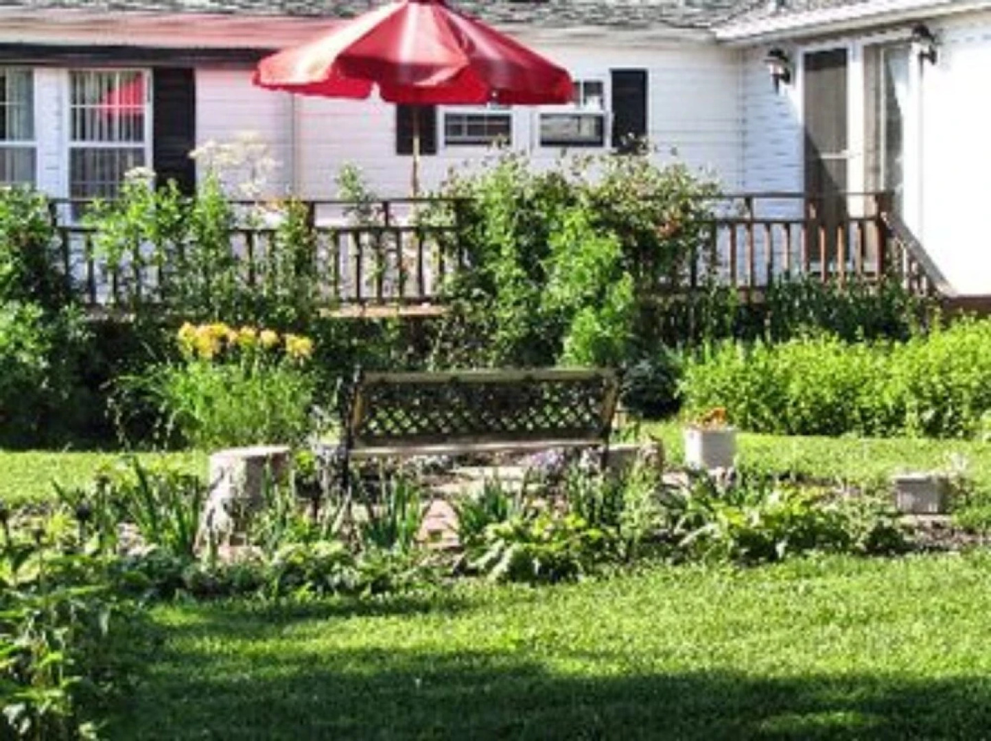 The Ginger Cat Bed & Breakfast