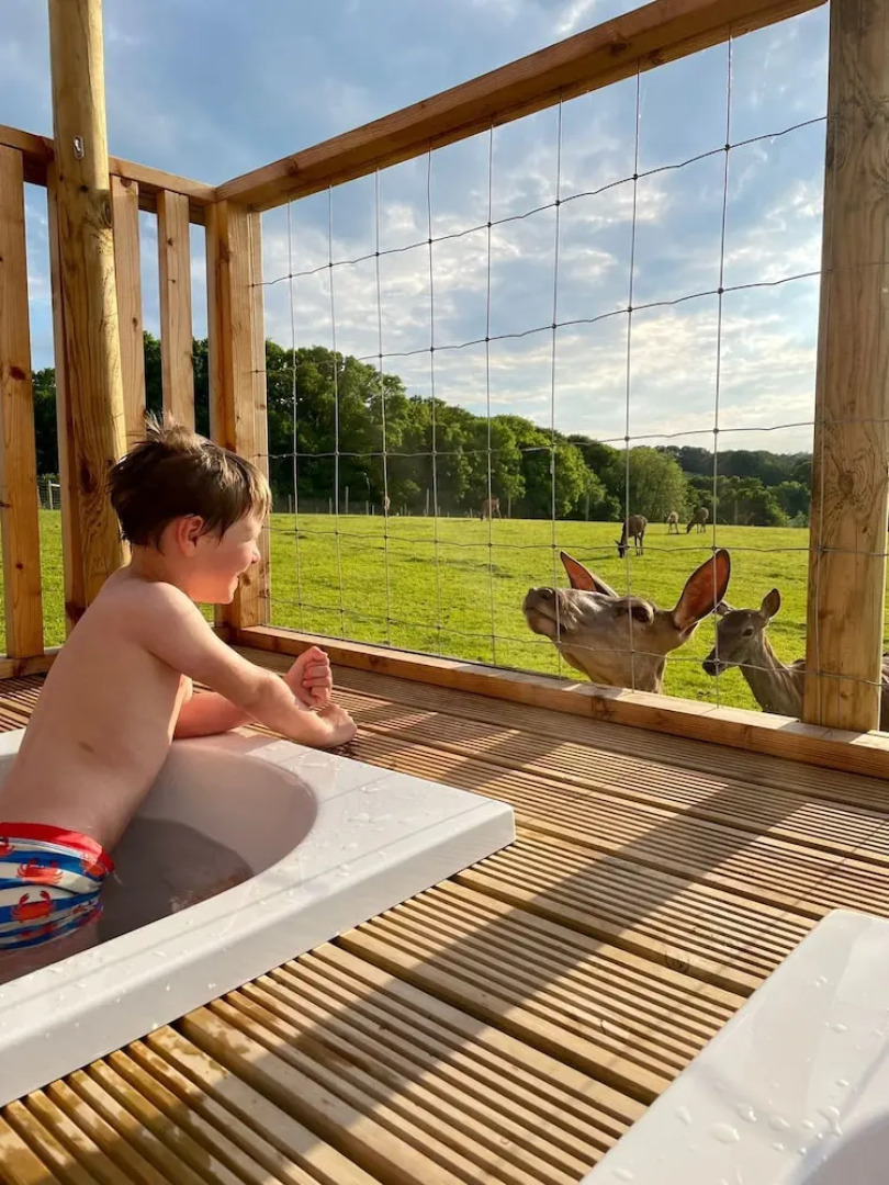 Luxury Safari Lodge Surrounded by Deer!! 'roe'