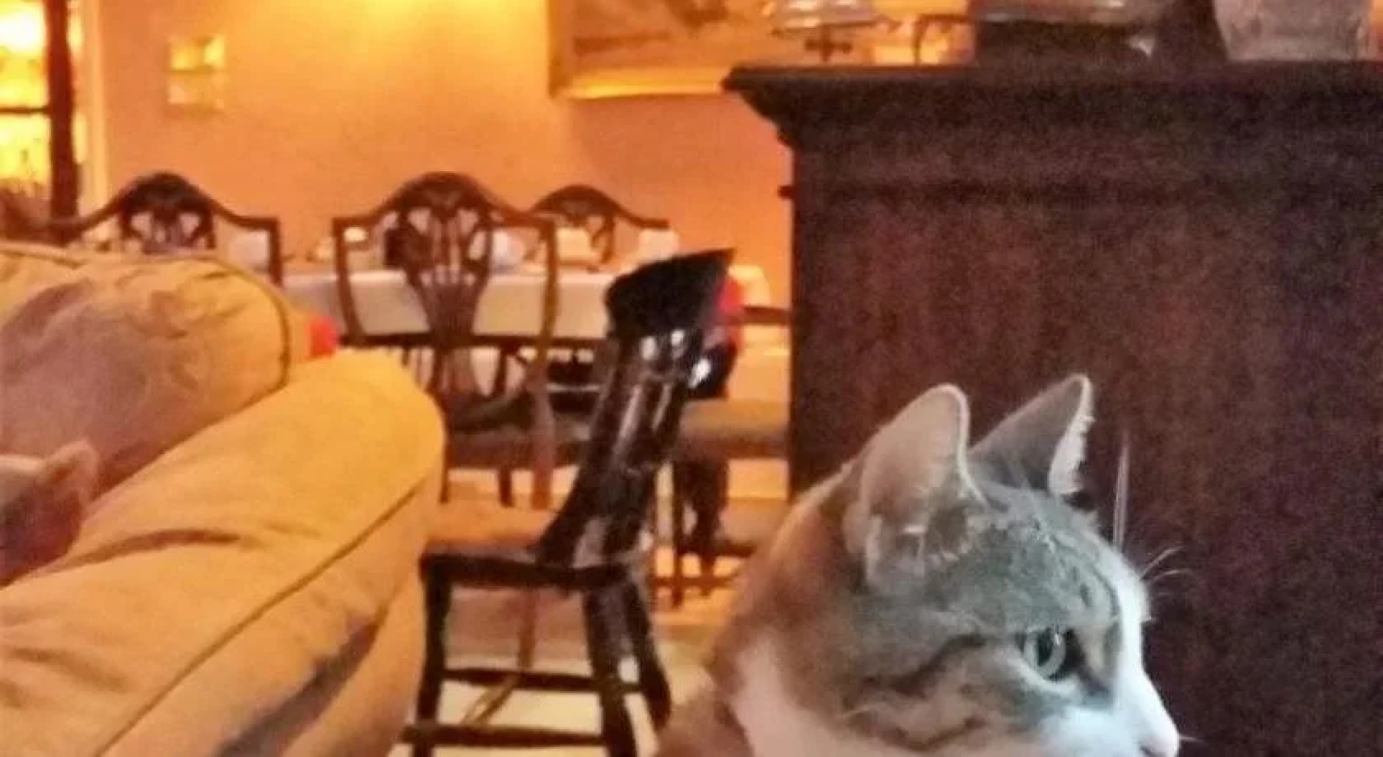 Featherstone Farm Hotel