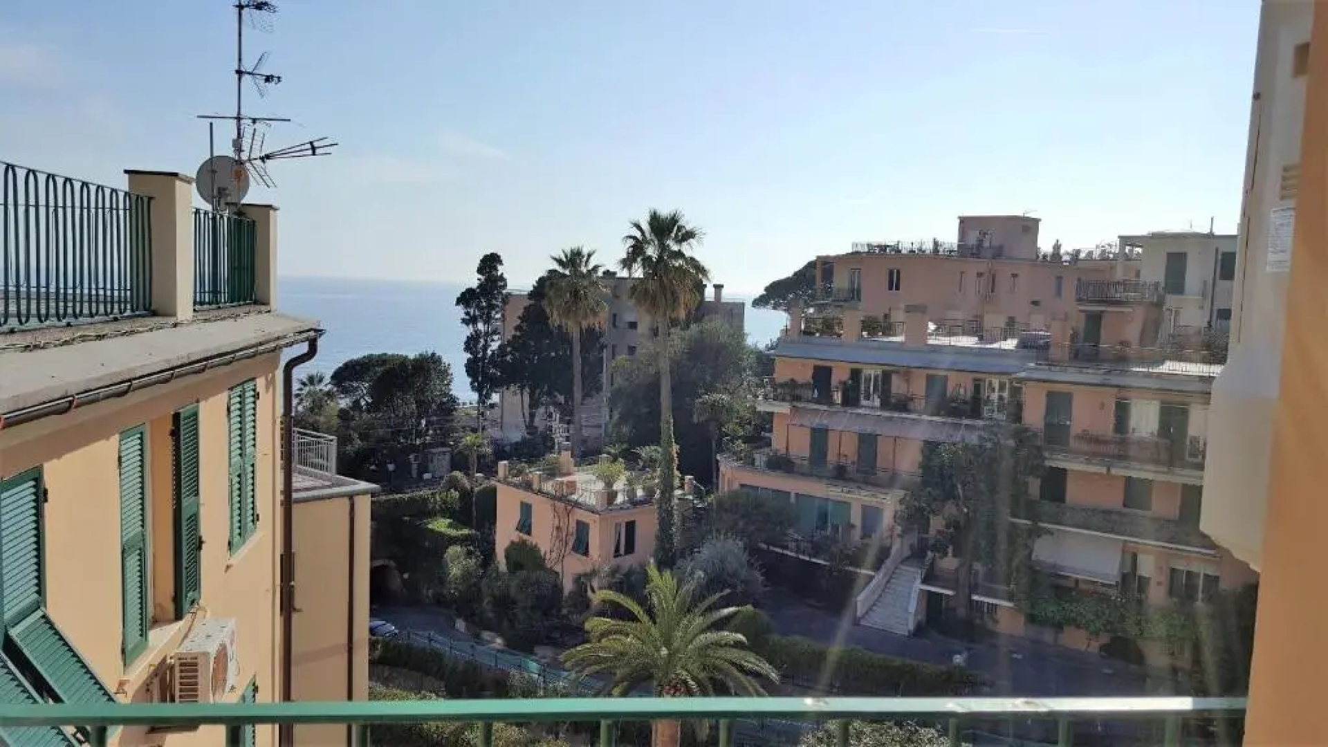 Les Citrons by Holiday World