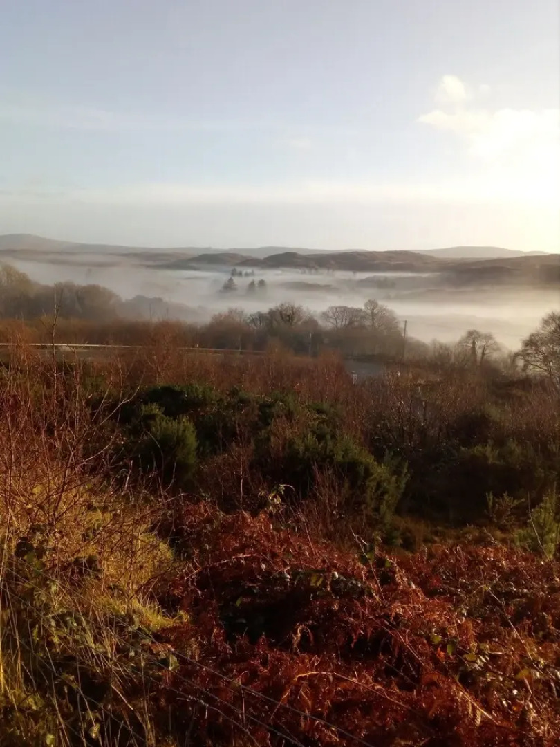 Willow Cottage Donegal B&B