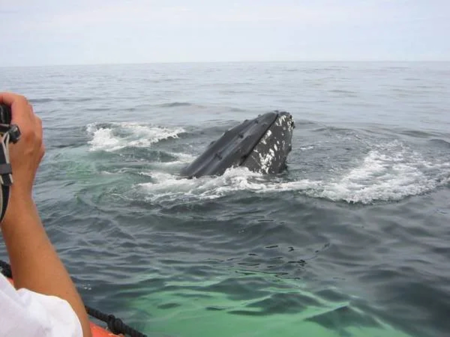 Hotel - Motel Georges