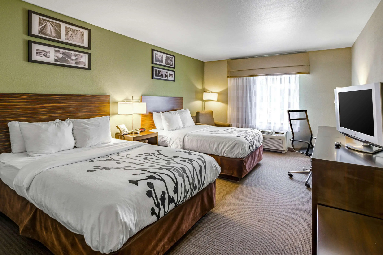 Sleep Inn Boone University Area