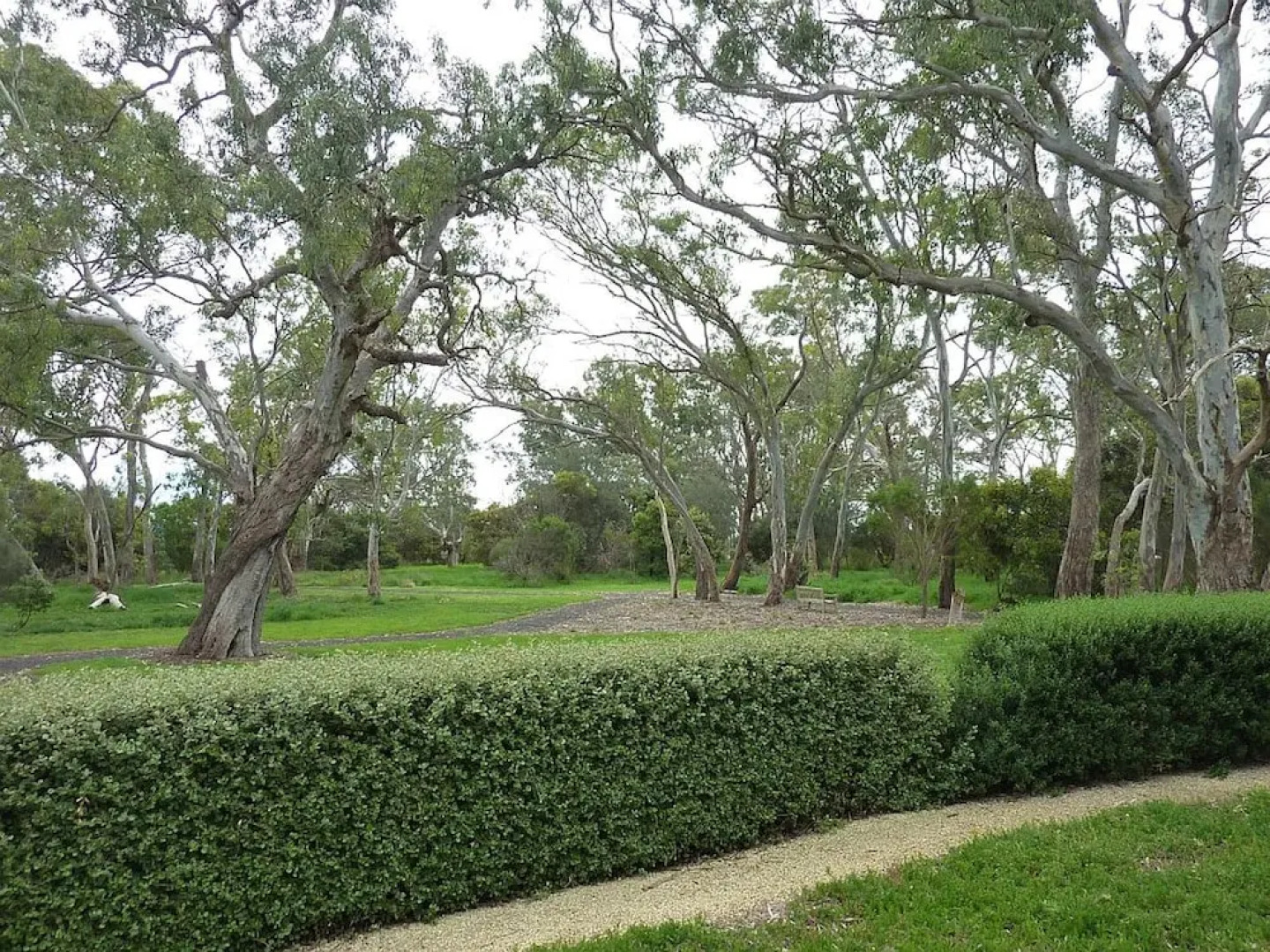 Yalumba Menzies Retreat