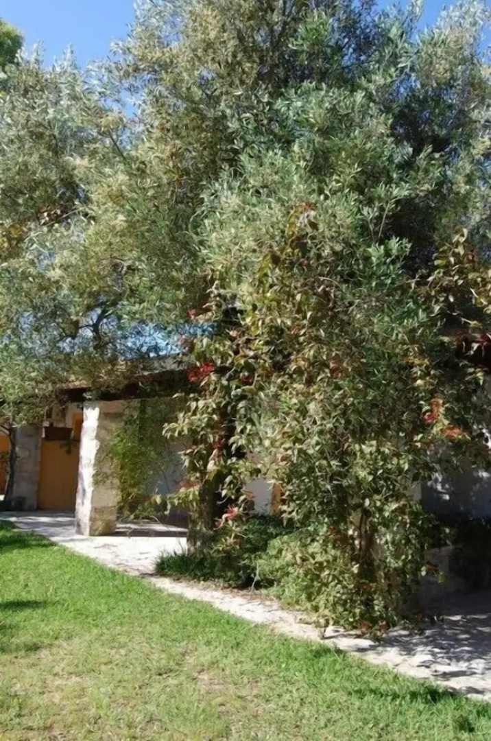 Scalilla - L'Agriturismo