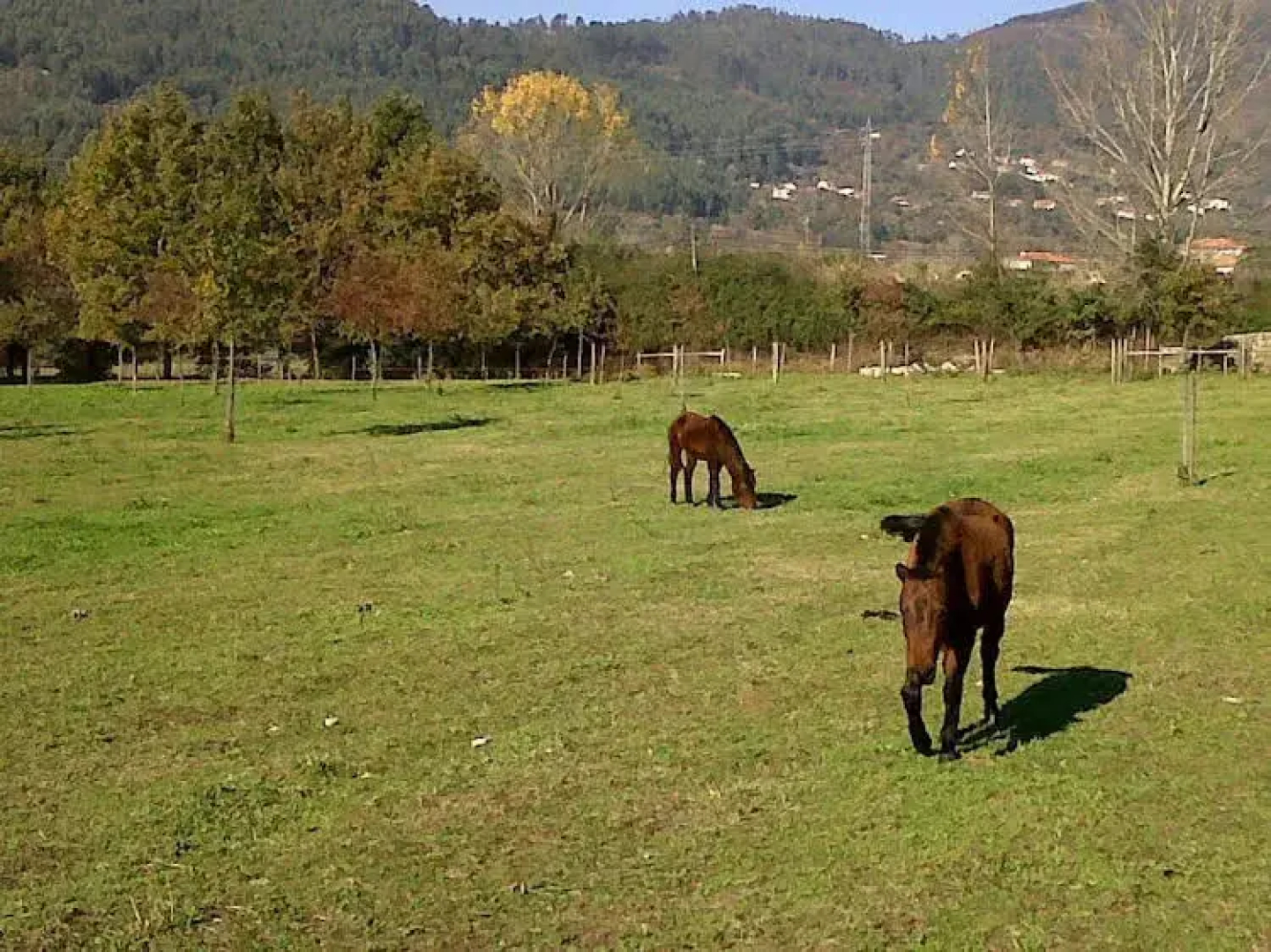 Quinta da Torre de Refoios