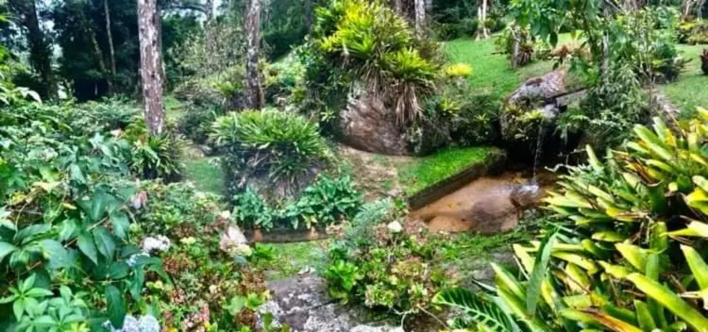 Estância das Nascentes - Sítio São Francisco