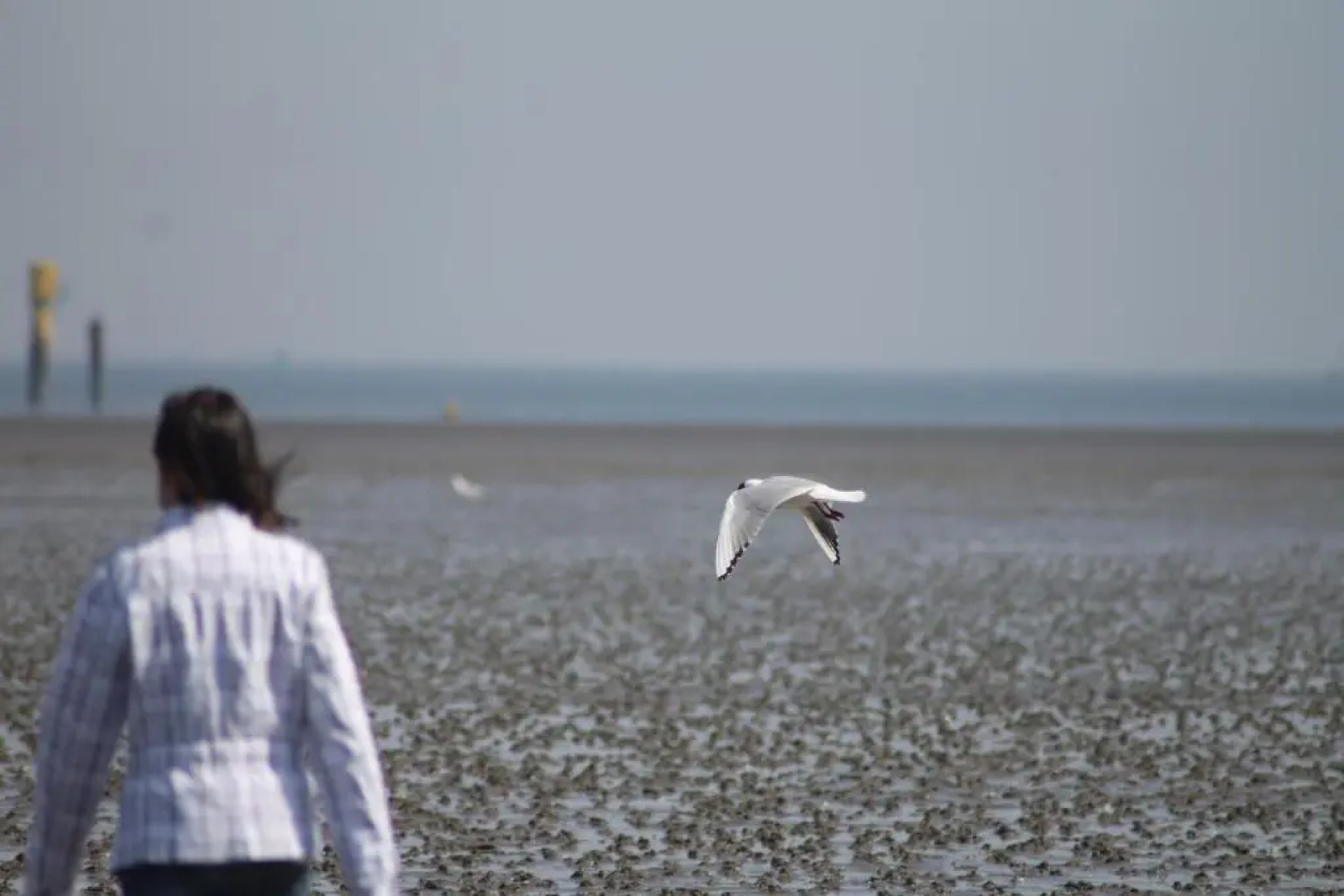 Hotel Schwarzer Adler