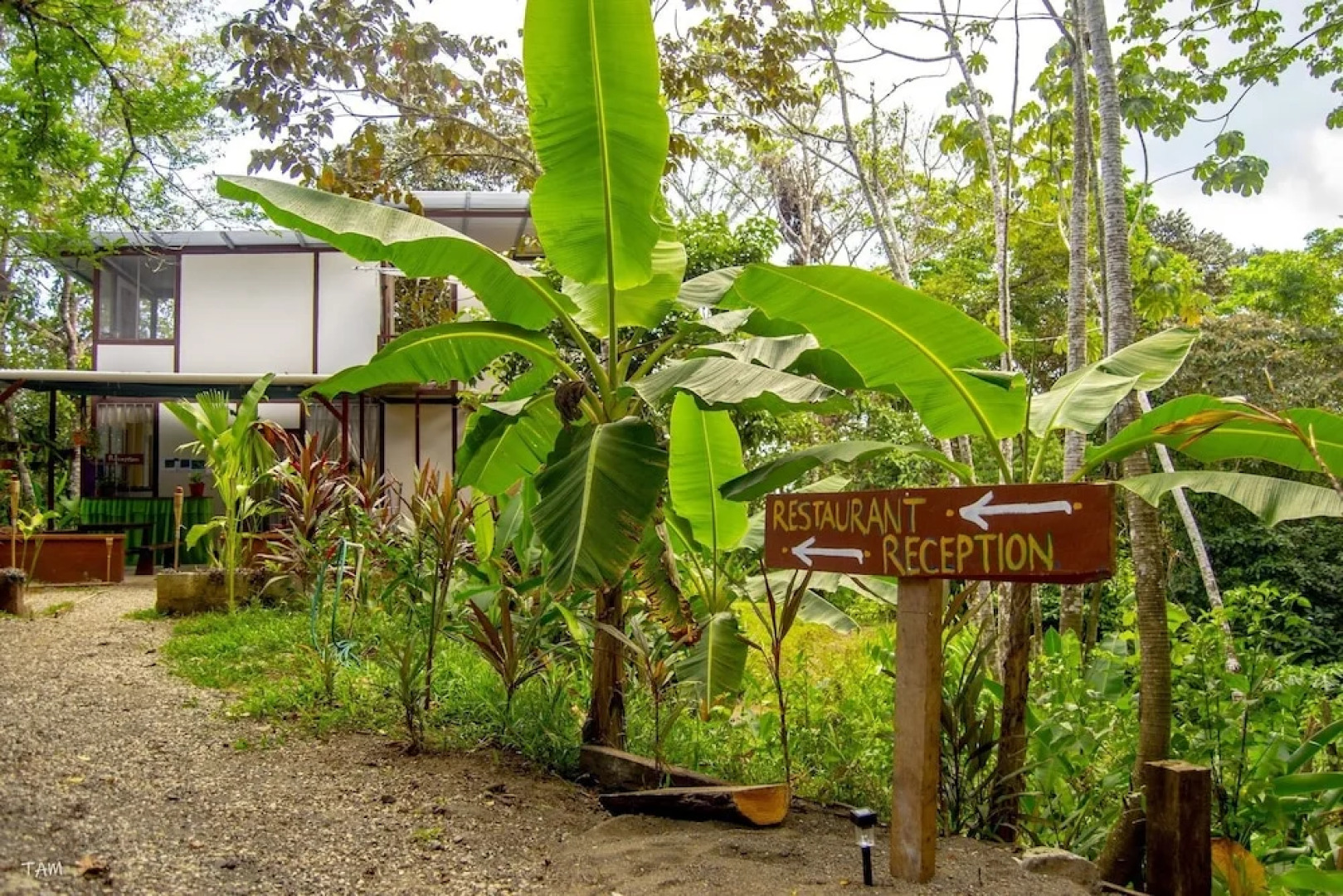 Osa Jungle Hostel