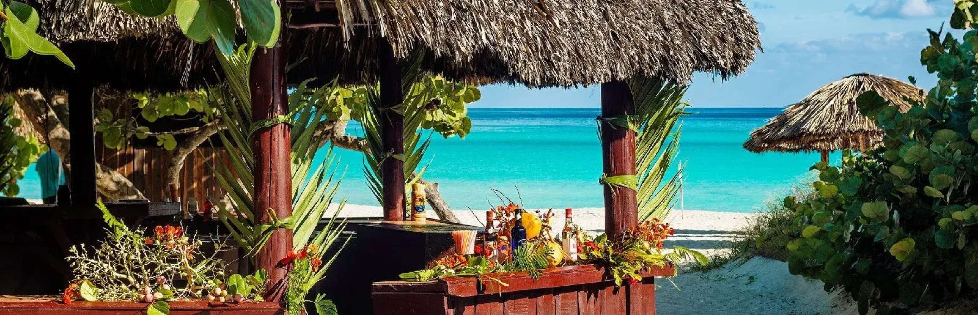 Be Live Experience Turquesa All Inclusive