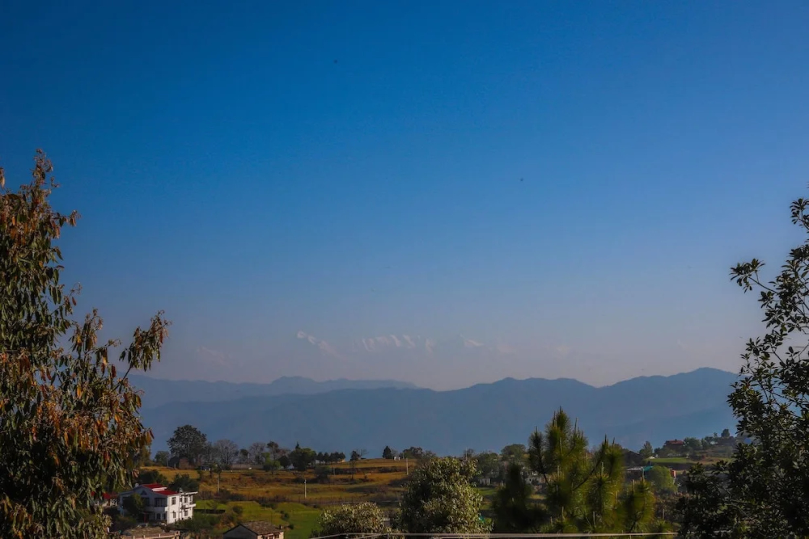 V Resorts Ginseng Kaafal Cottage