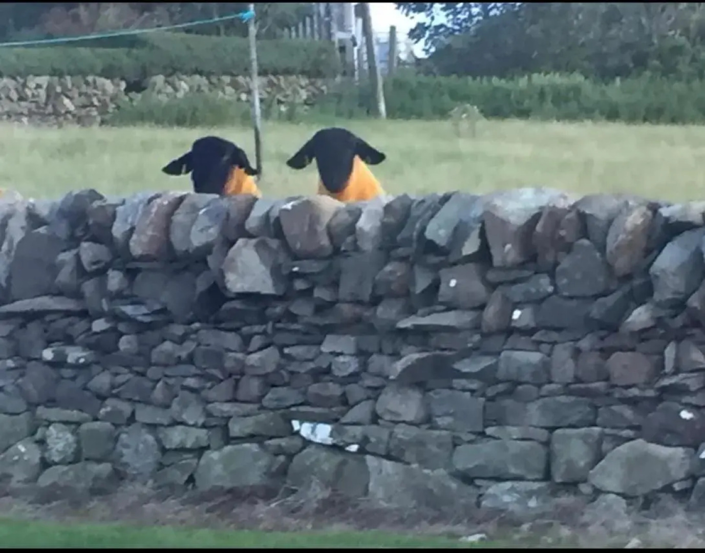 Lodge Cabin with Fabulous Views - Farm Holiday