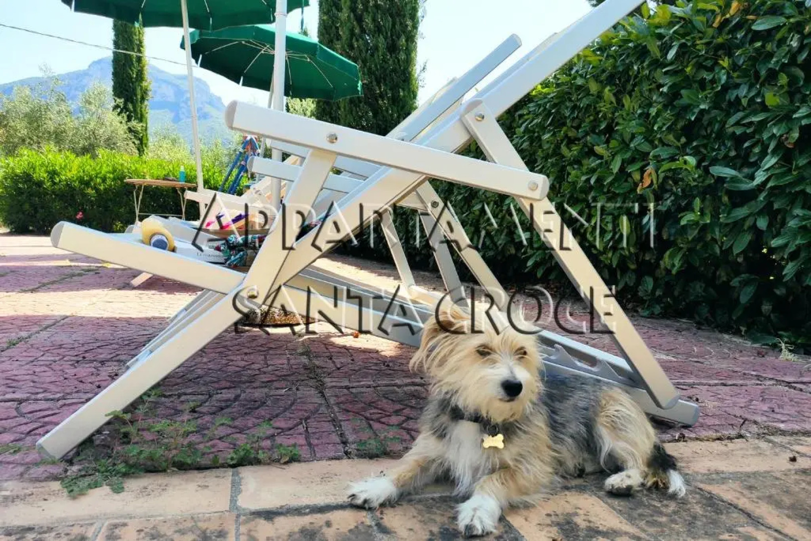 Appartamenti Santa Croce