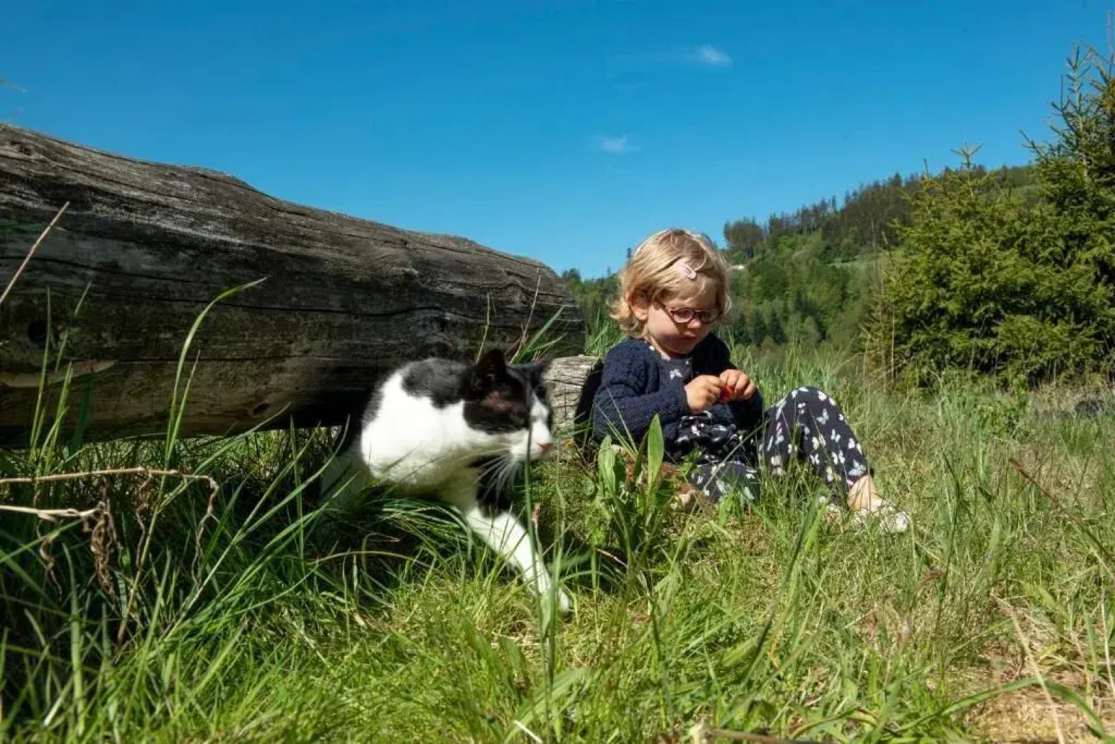 Familotel Familienklub Krug