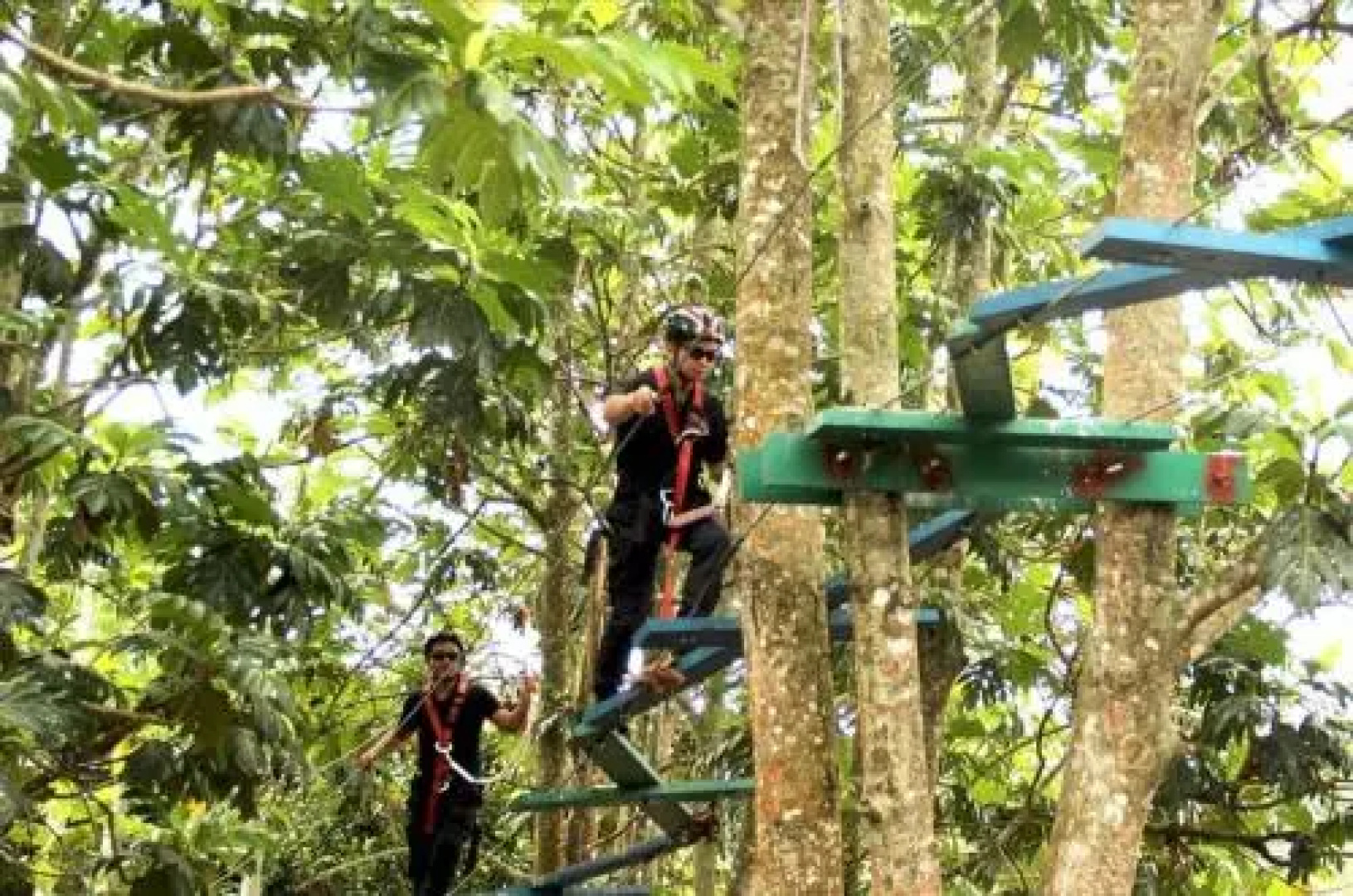 Orchard Wellness Safari Suites
