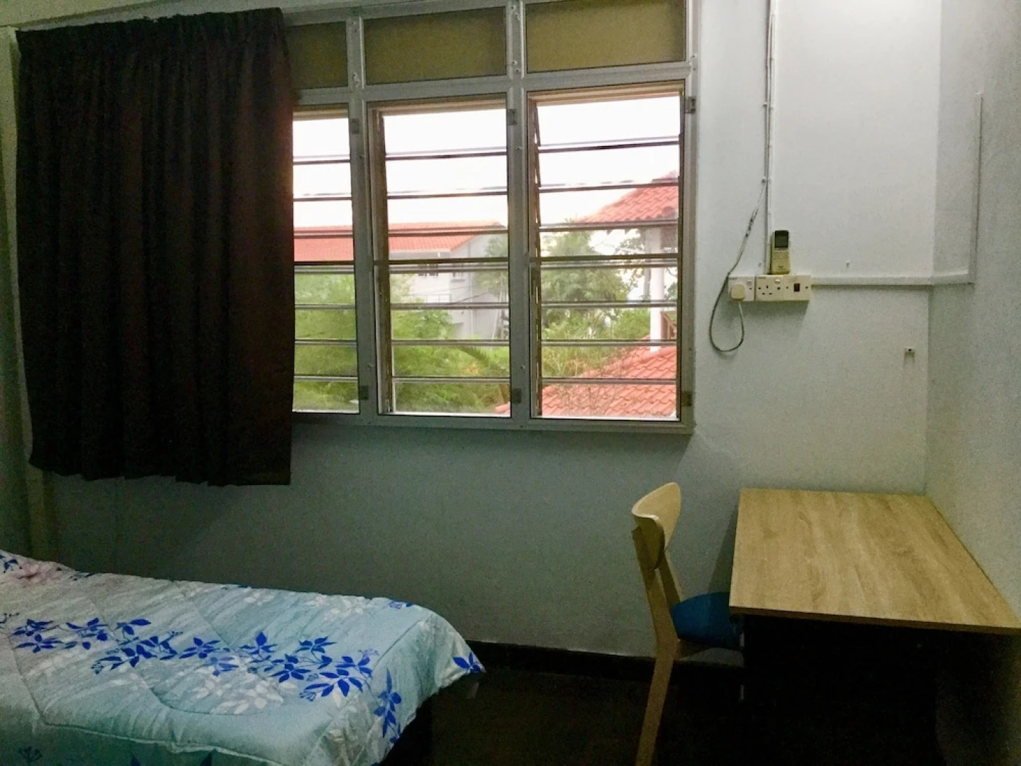 Sea Lion by the Beach