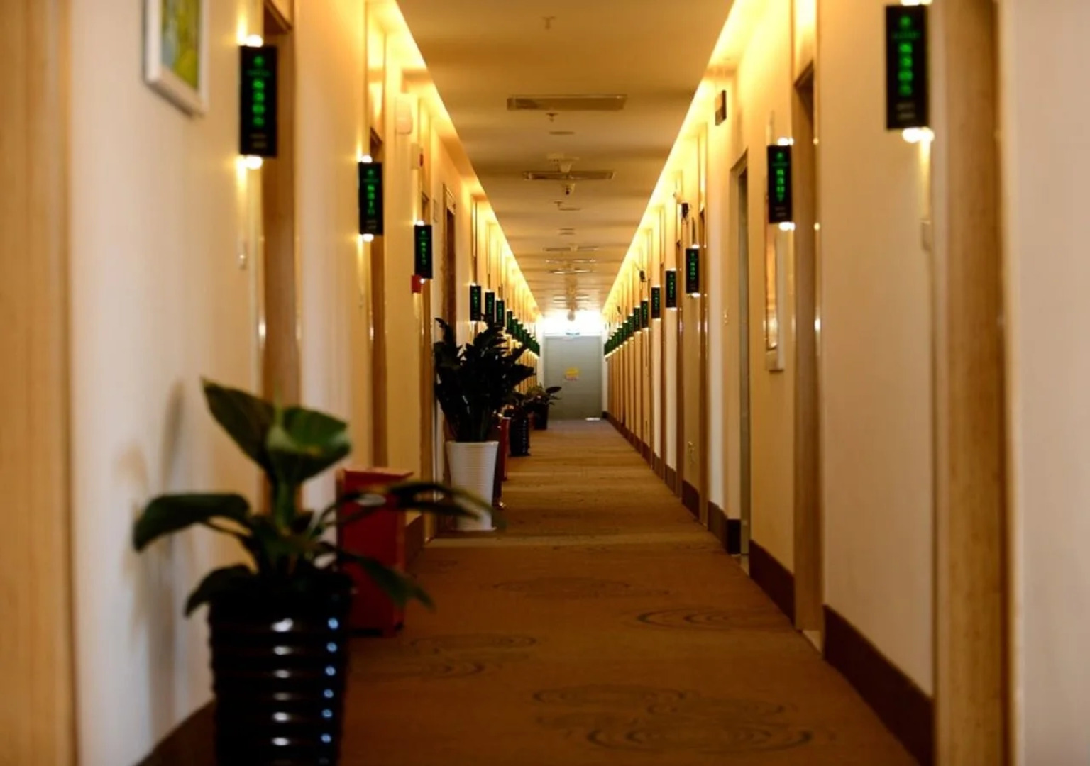 GreenTree Inn Beijing Capital Airport T3 Xingang Express