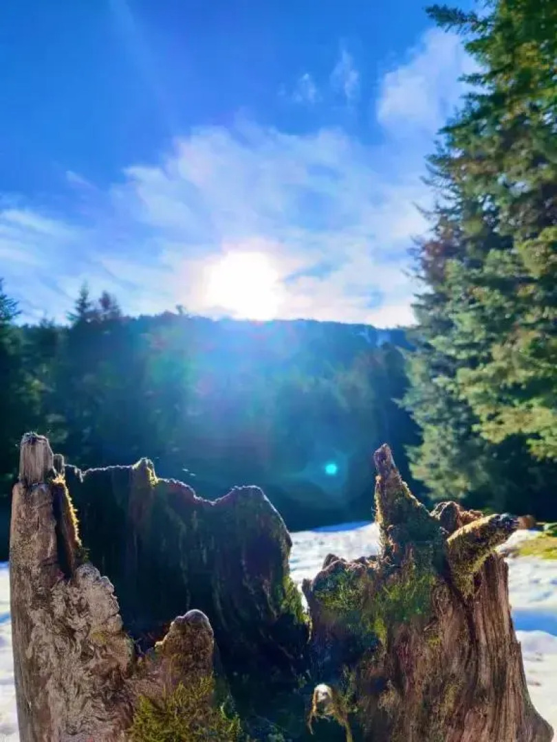 Appartement Chalet à 1400m - Station du Mourtis