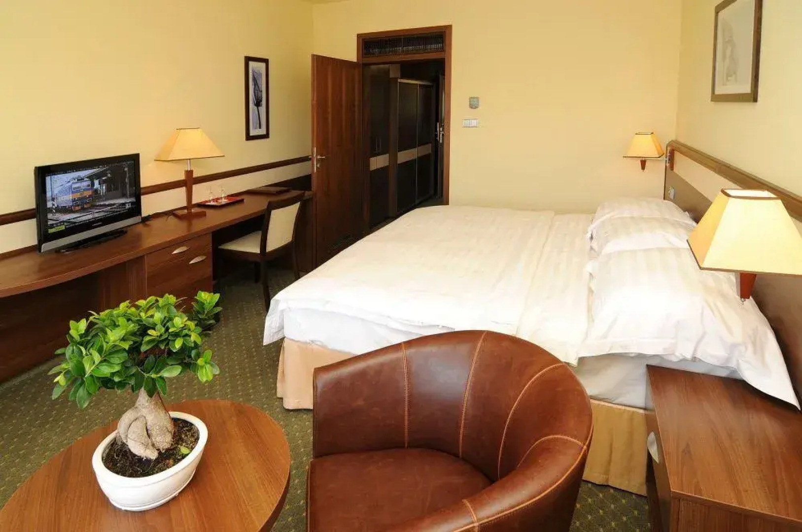 Spa Resort Tree of Life