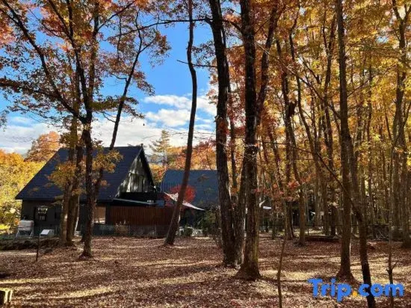 [TV] Luxury adult secret base villa 120 ㎡ Sauna, stone bath, bonfire, BBQ [Mori building]