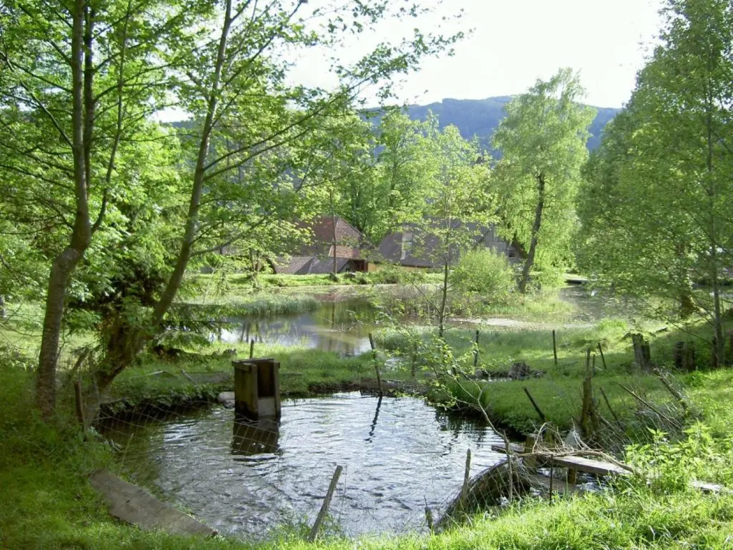 Castello Schloss Lichtengraben