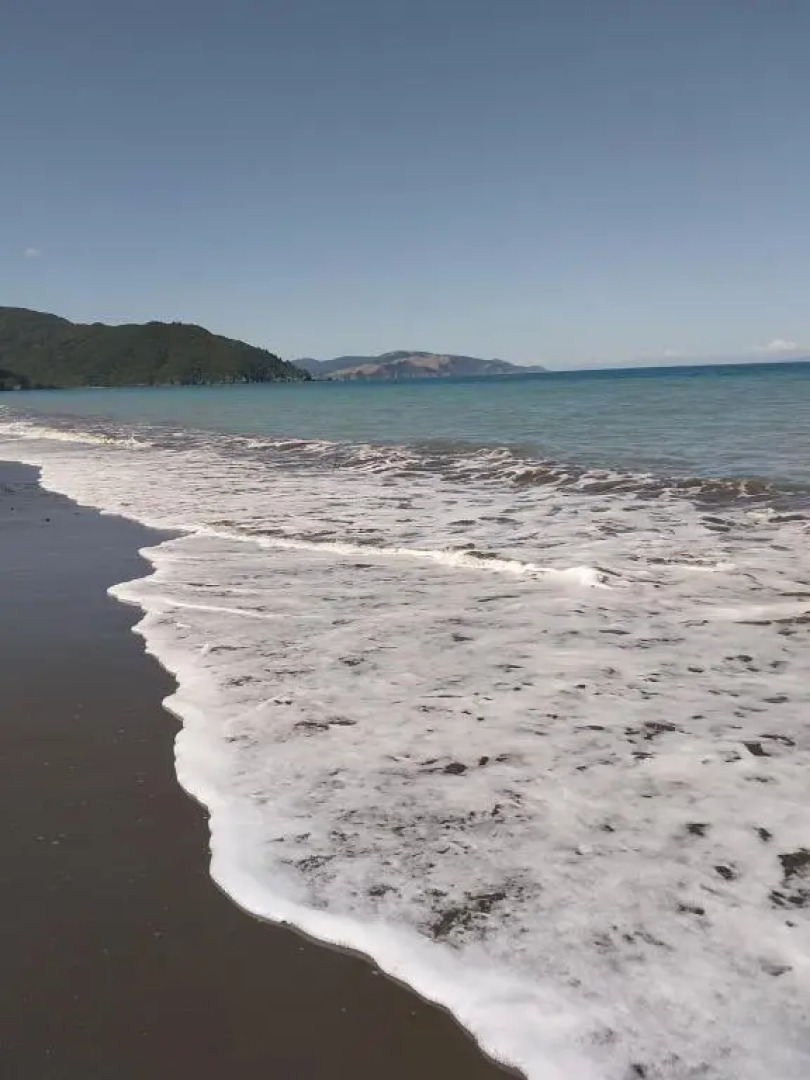 Rarangi Seaview On The Beach