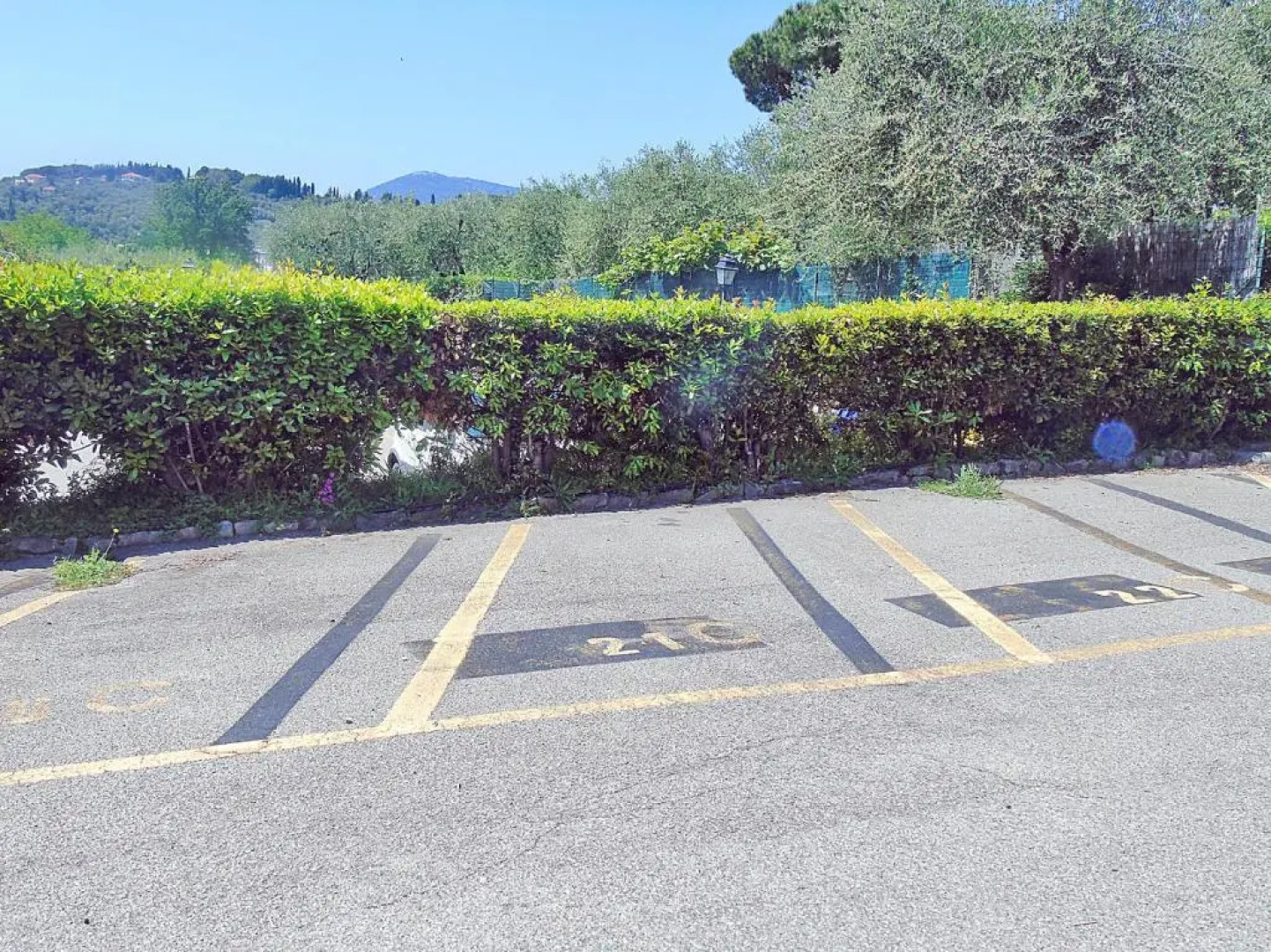 Piana degli Ulivi a Lerici