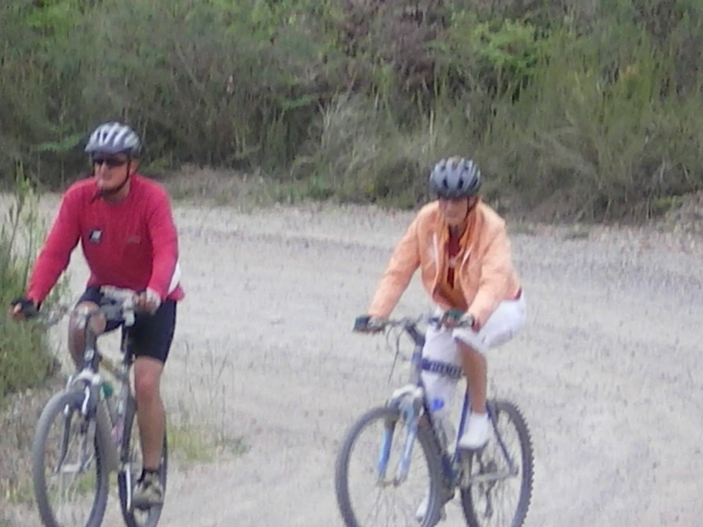 Dennehof Karoo Guesthouse