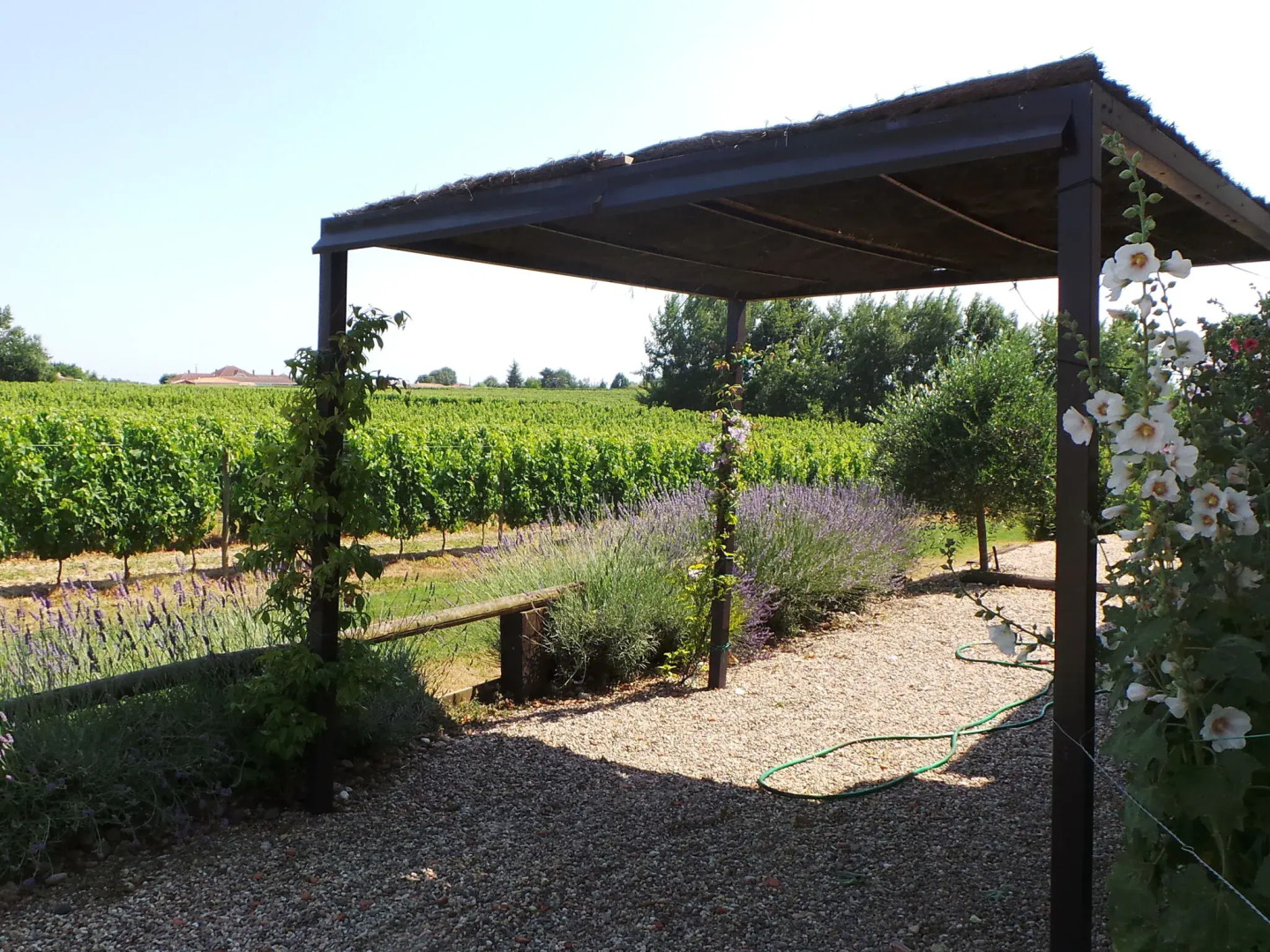 Renovated Dovecot With Pool, in the Vineyards Near Bordeaux