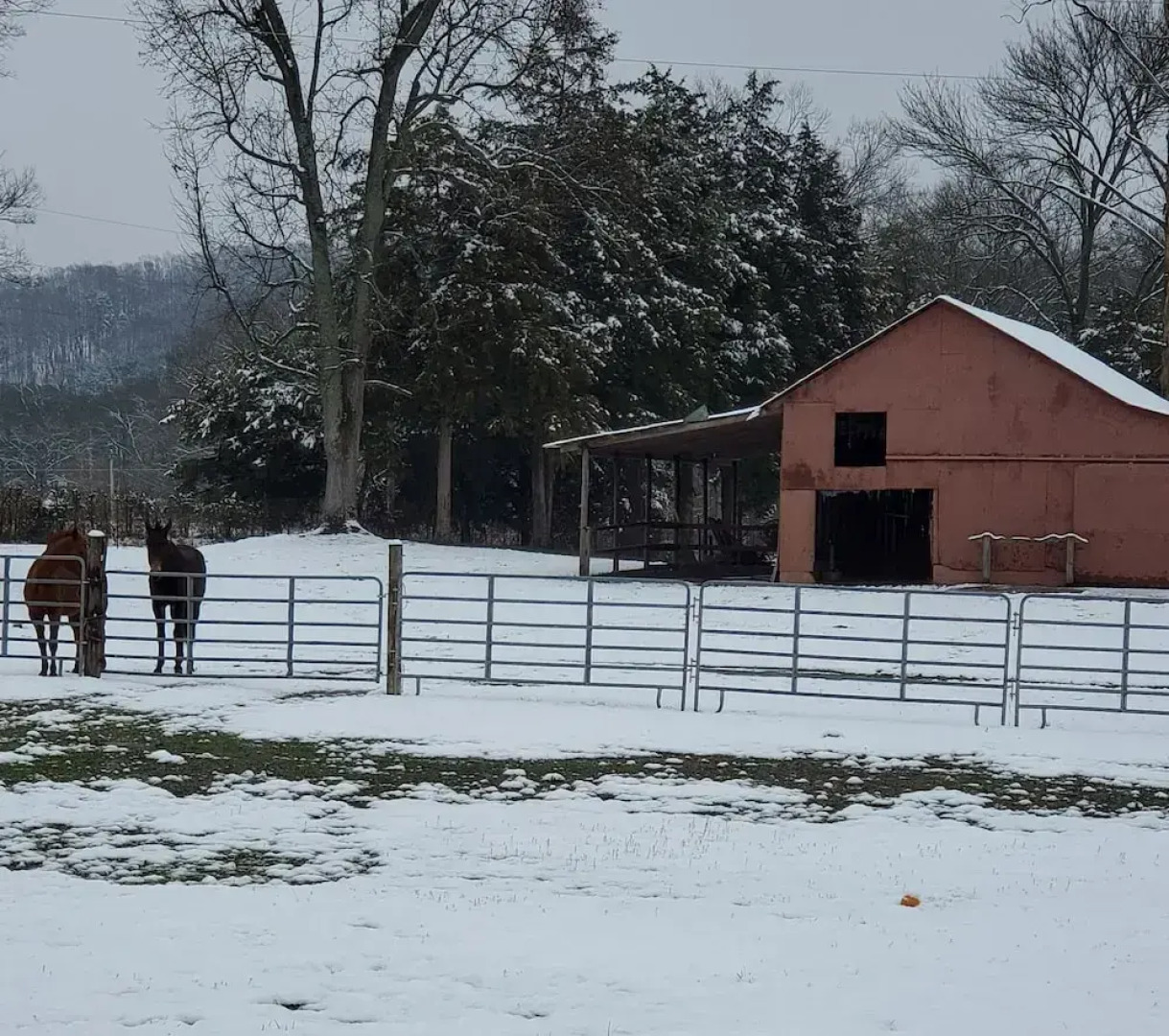 Country Aire Bed & Breakfast