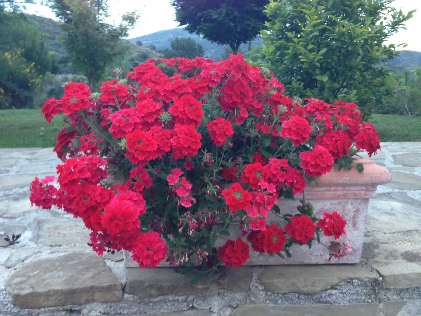 Villa Antonia Castellabate