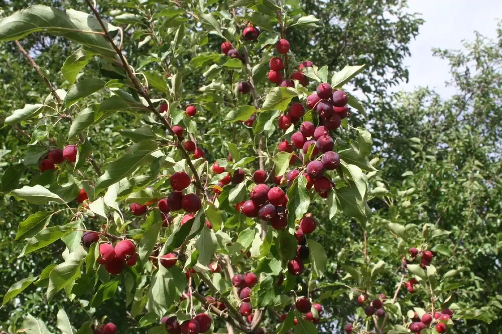 River Stone Inn & Gallery