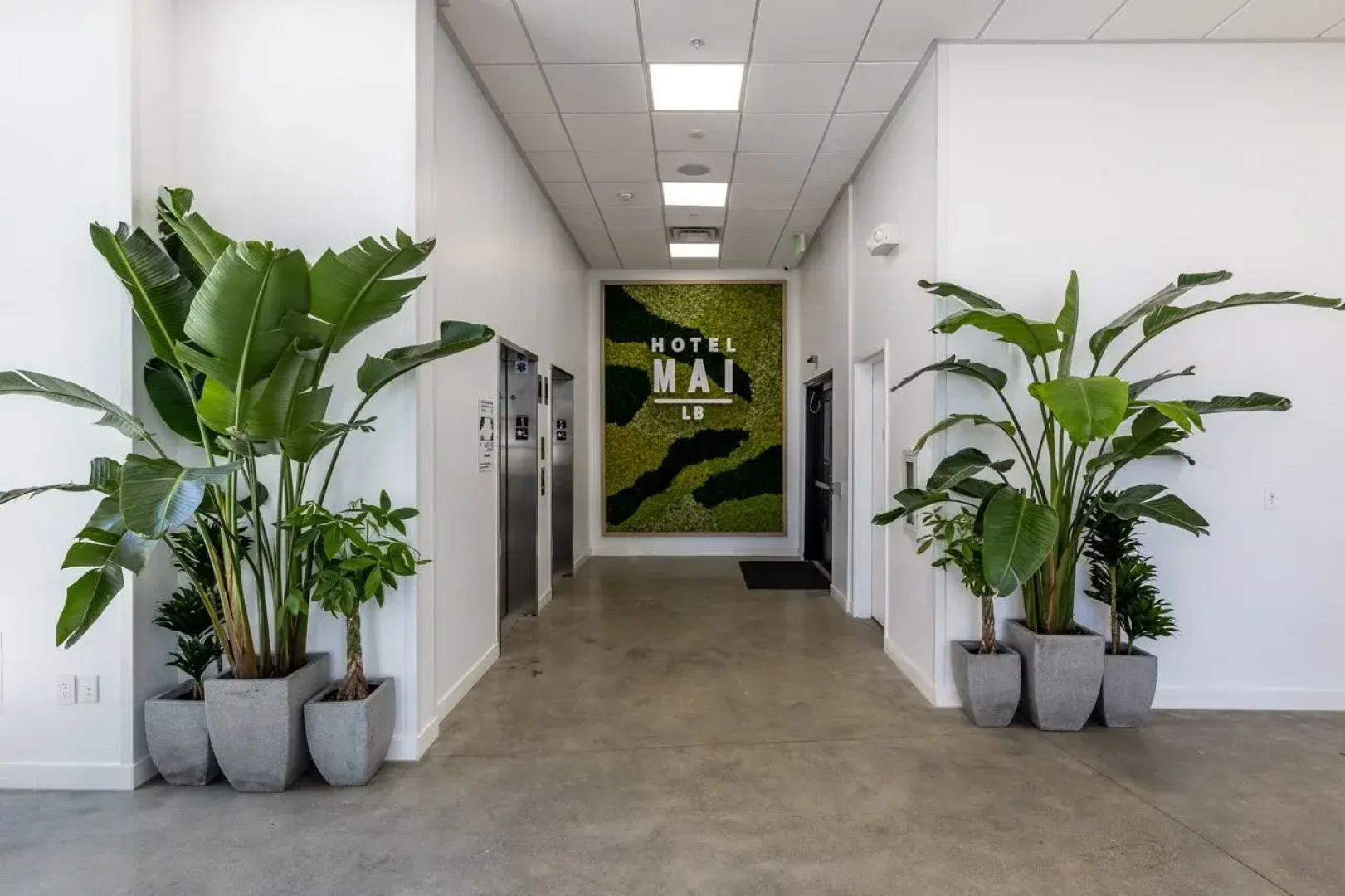 Hotel Mai Downtown Long Beach