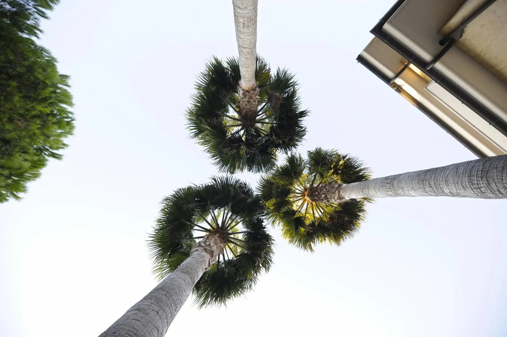 Tortorella Inn Resort