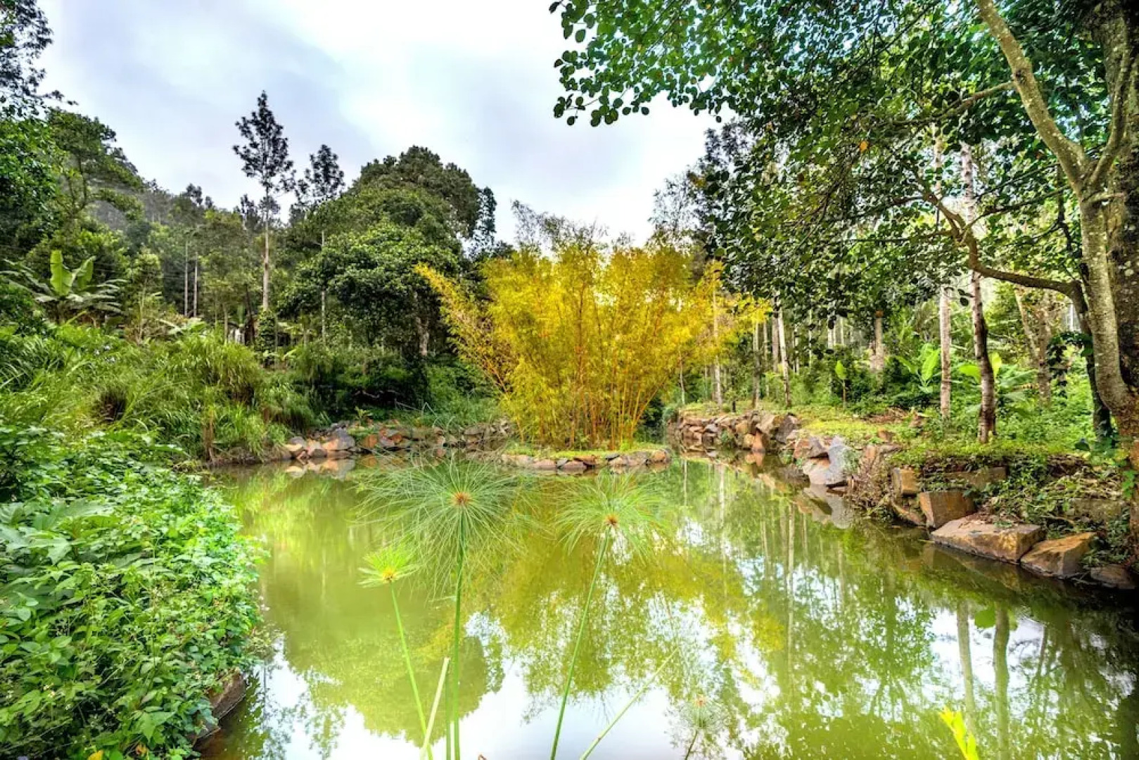 Shambala Resort & Spa By Sparsa