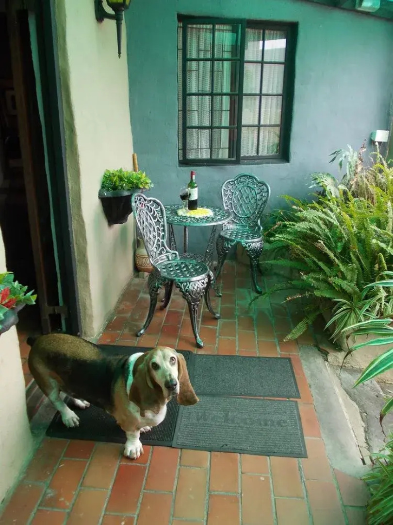 Villa Ocean Crest Guesthouse and B&B