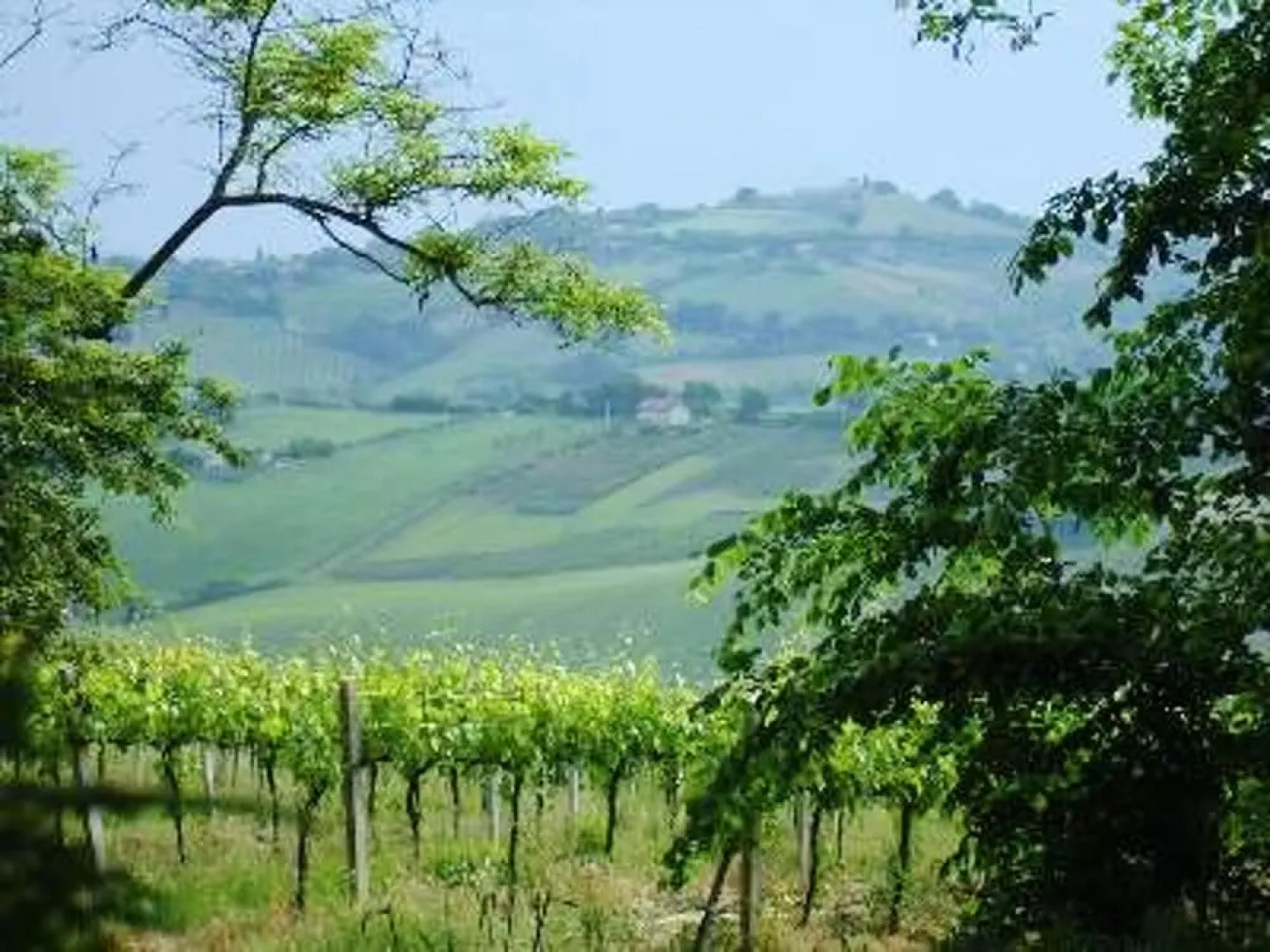 House With 2 Bedrooms In Montelabbate With Wonderful Sea View Private Pool Enclosed Garden