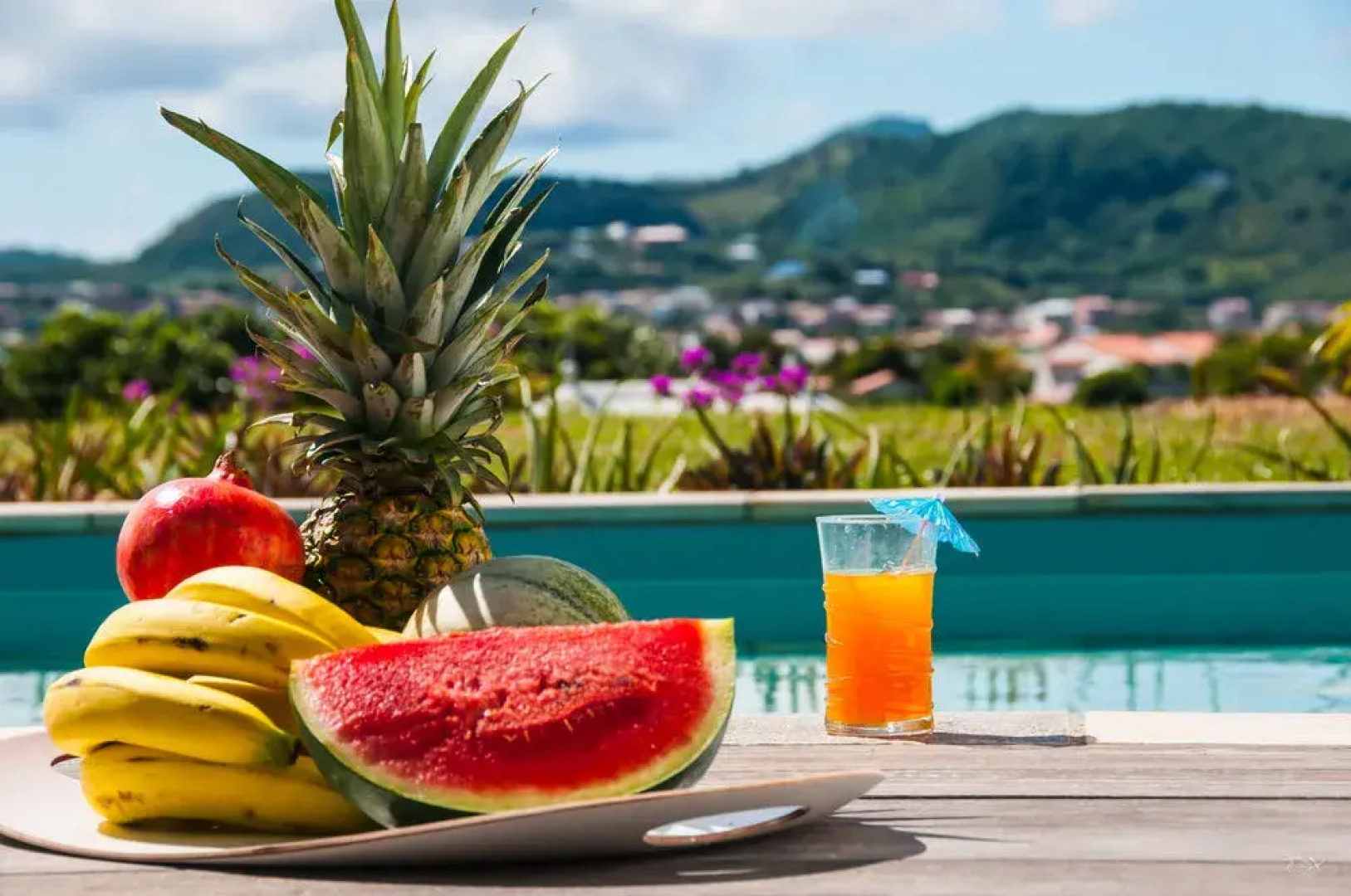 Palm Villas Martinique