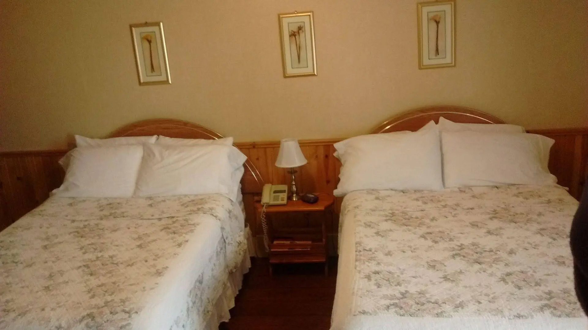 MacKenzie's Motel & Cottages