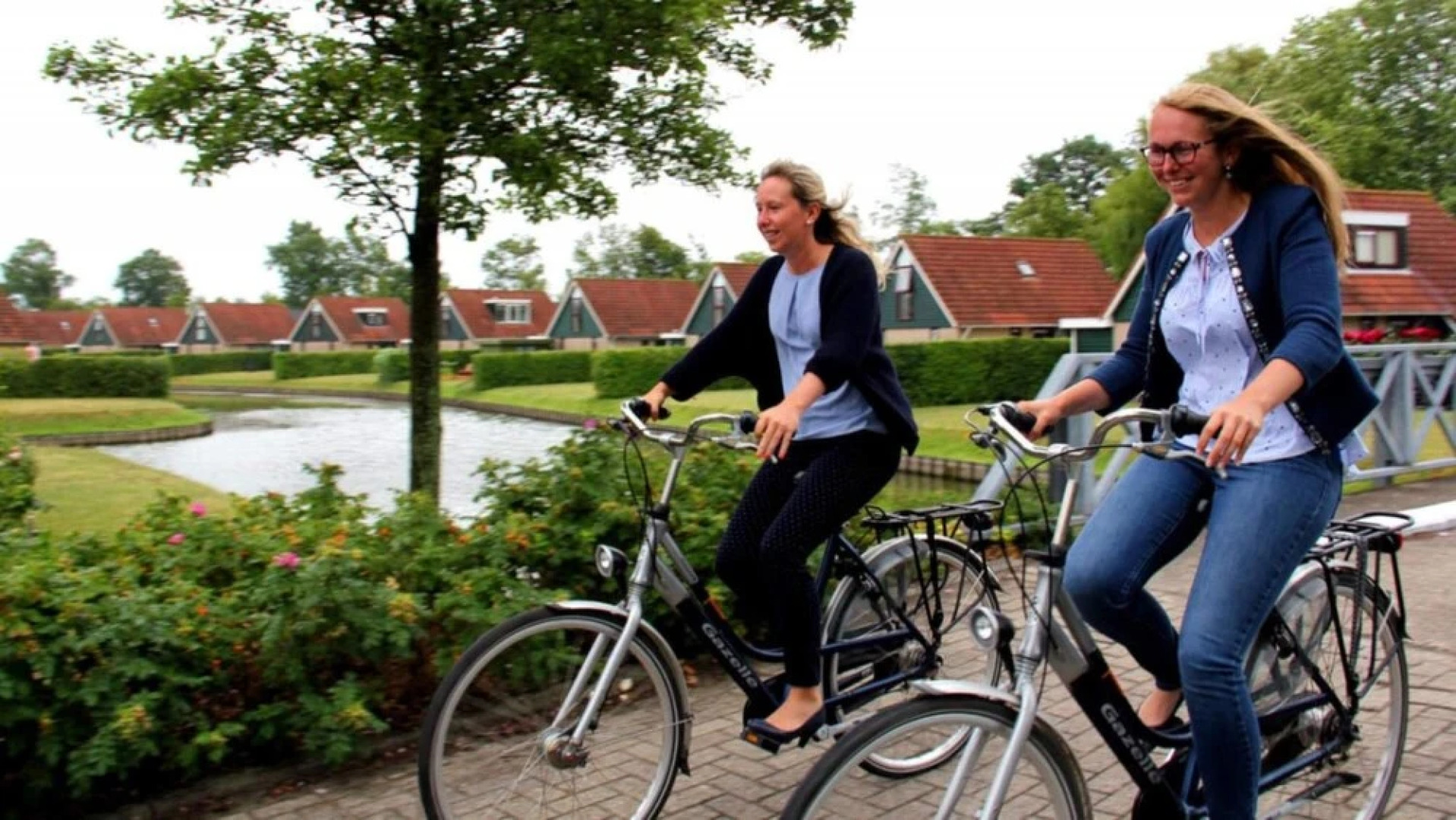 HVZ Orchis Wellness 6p