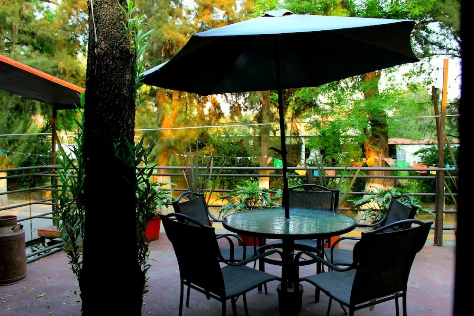 Posada Los Ahuehuetes