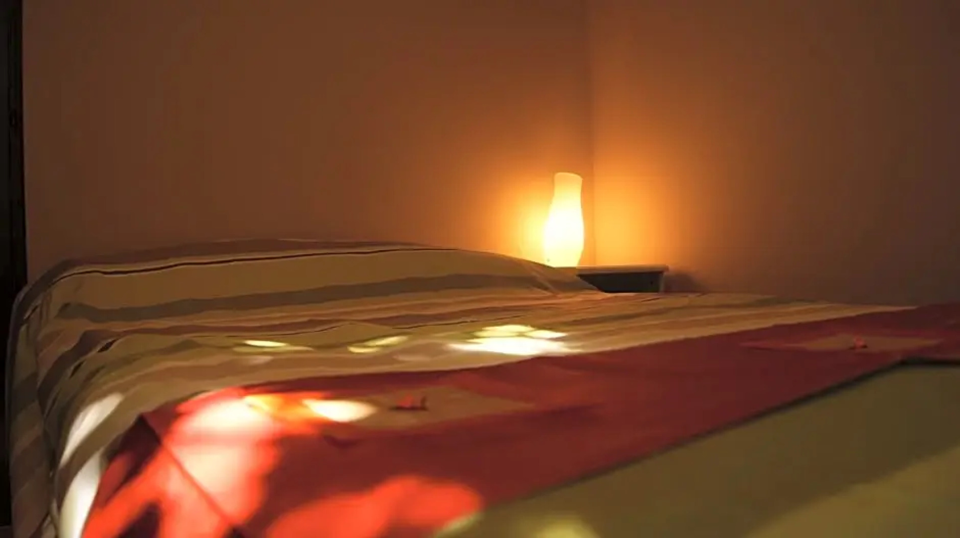 B&B Vegan Inn Airport