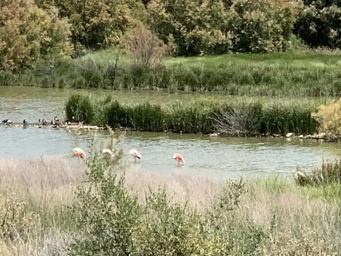 B&B Cortijo Vista Alora