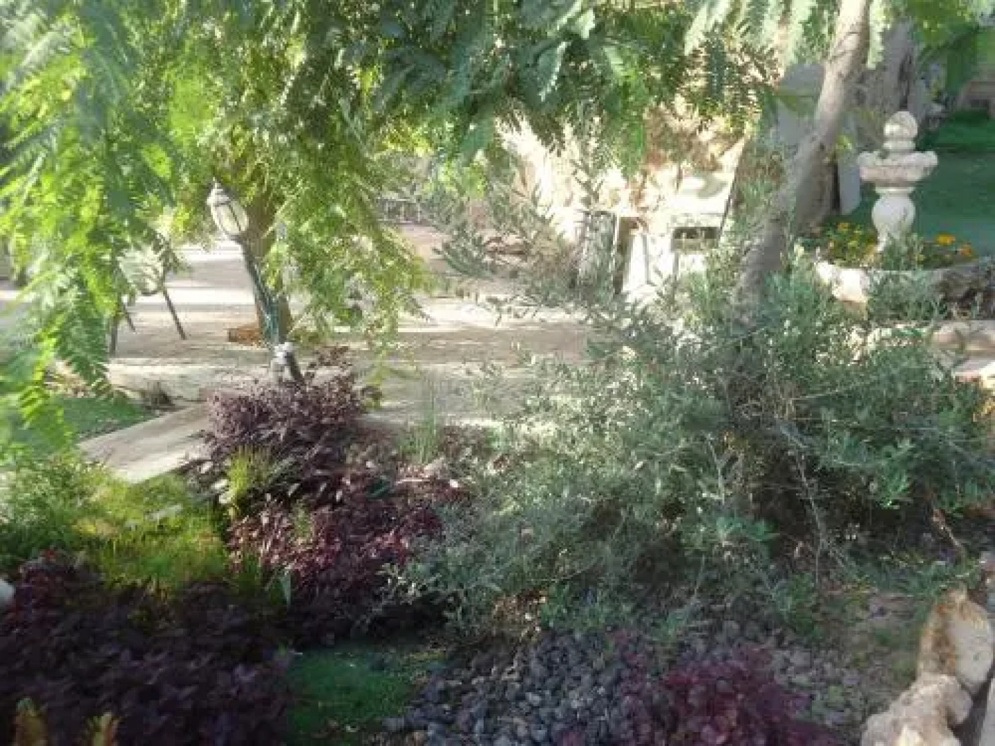 Mivtsa Lot 39 Apartments