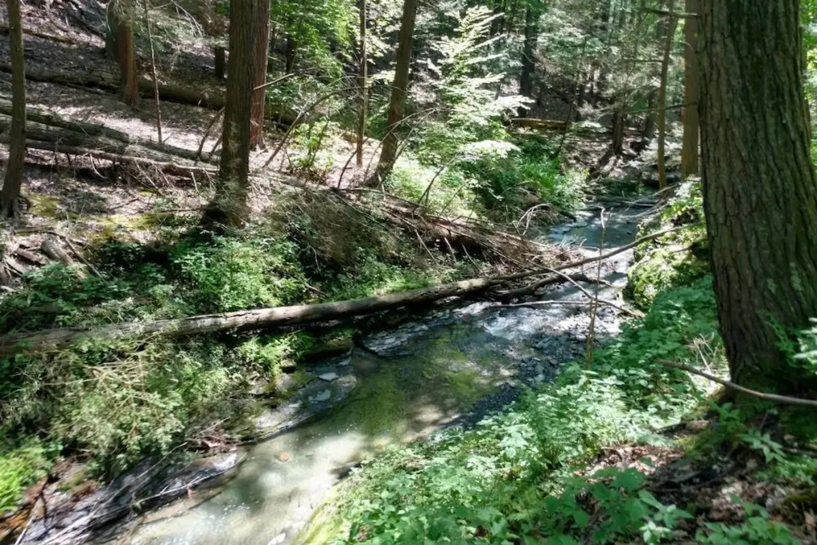 Tentrr - Home Sweet Campsite