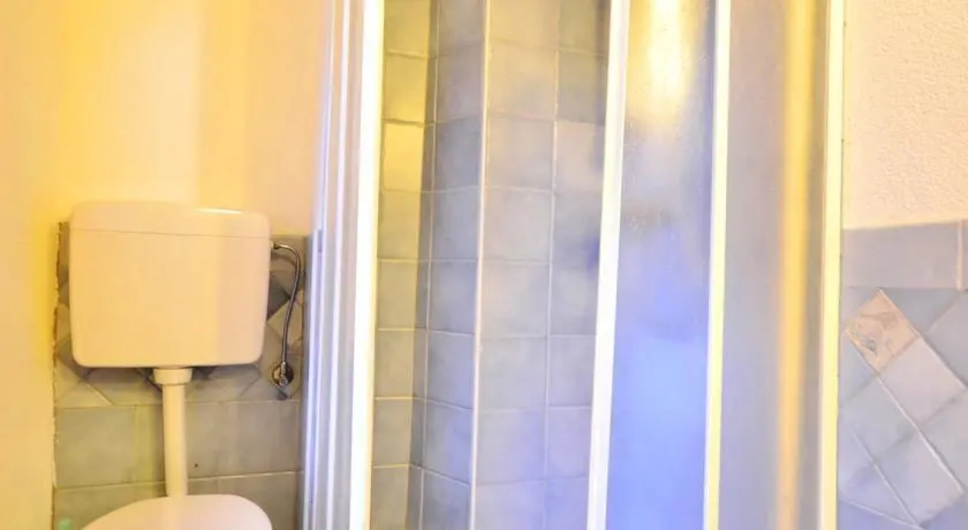 Bucaneve Narciso EHL