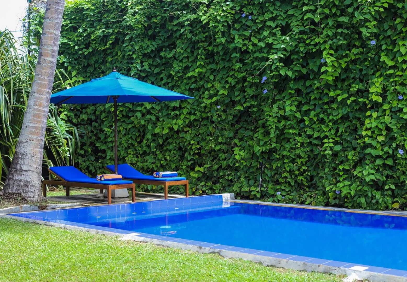 Saffron & Blue - an elite haven