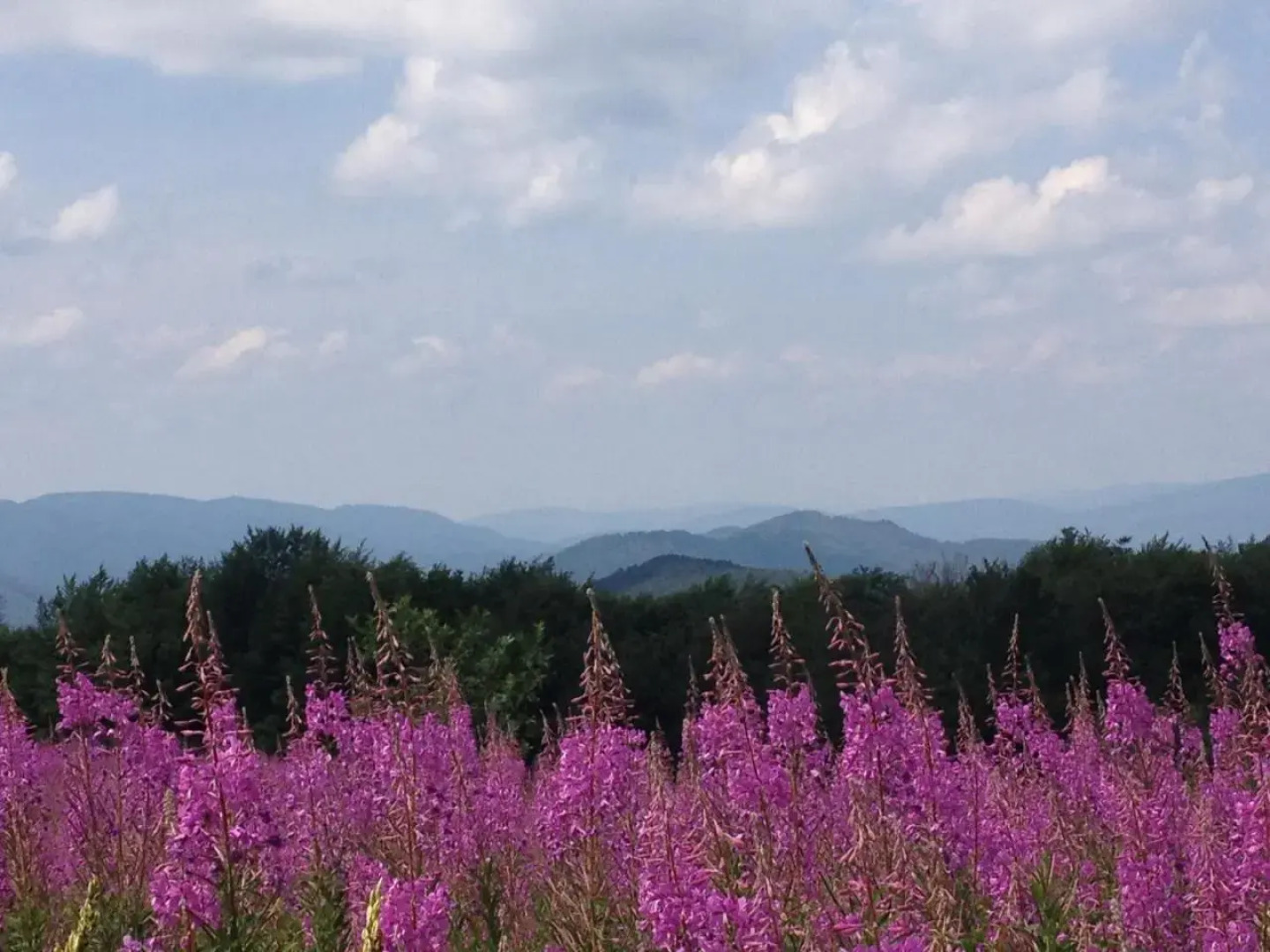 Усадьба Эрташ